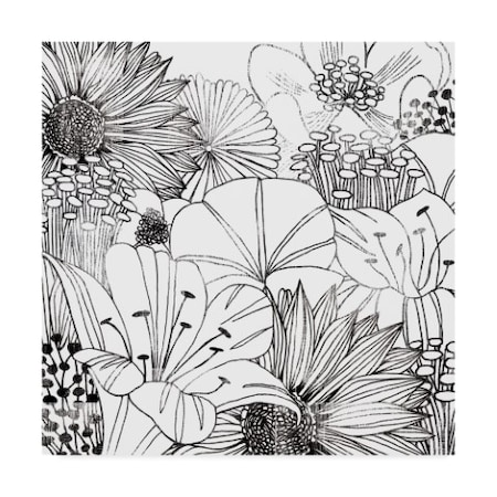 Michael Mullan 'Contemporary Garden I Black And White' Canvas Art,14x14